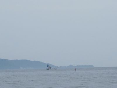 2011.6.12-2.jpg